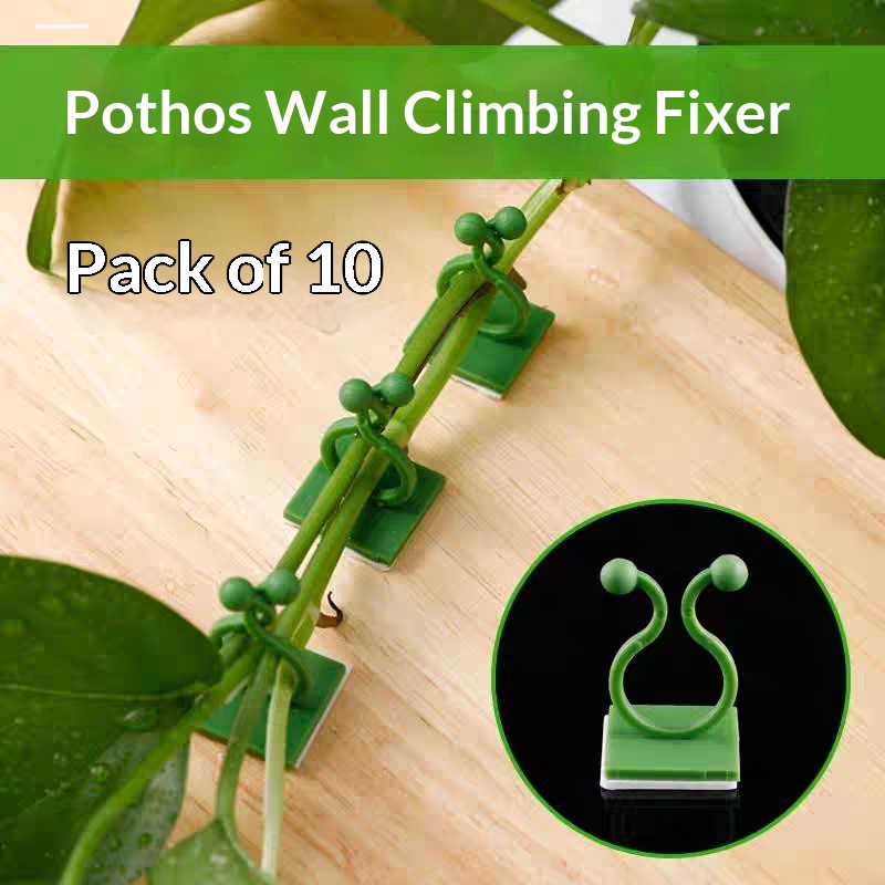 Vine Climbing Plastic - Samoprzylepne klipsy do mocowania roślin pnących