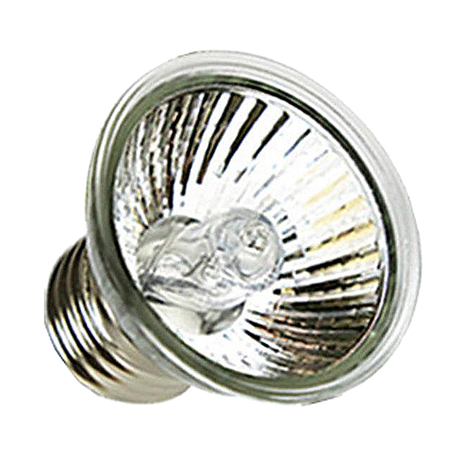 Lampa grzewcza UVA UVB dla gad – Basking Bulb Halogen recenzja i cena
