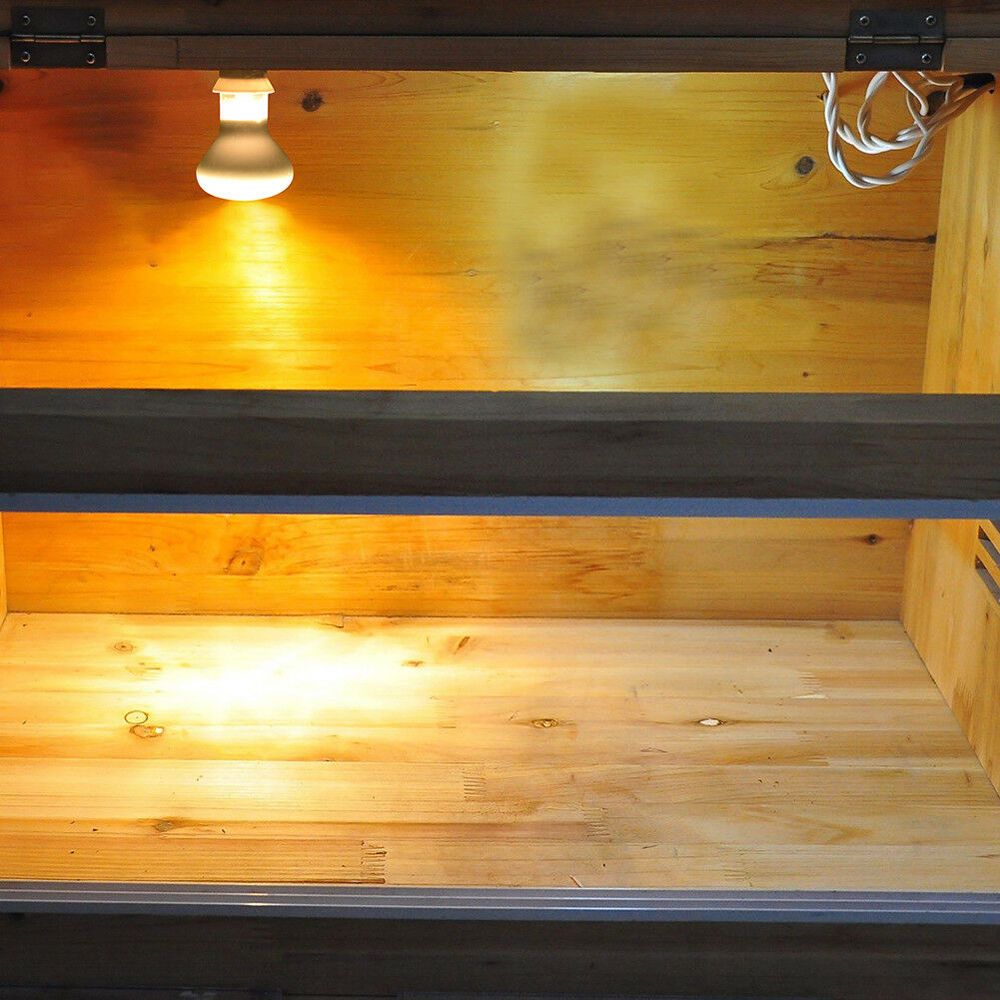 Lampa grzewcza dla płazów, grz – Basking Bulb Halogen recenzja i cena