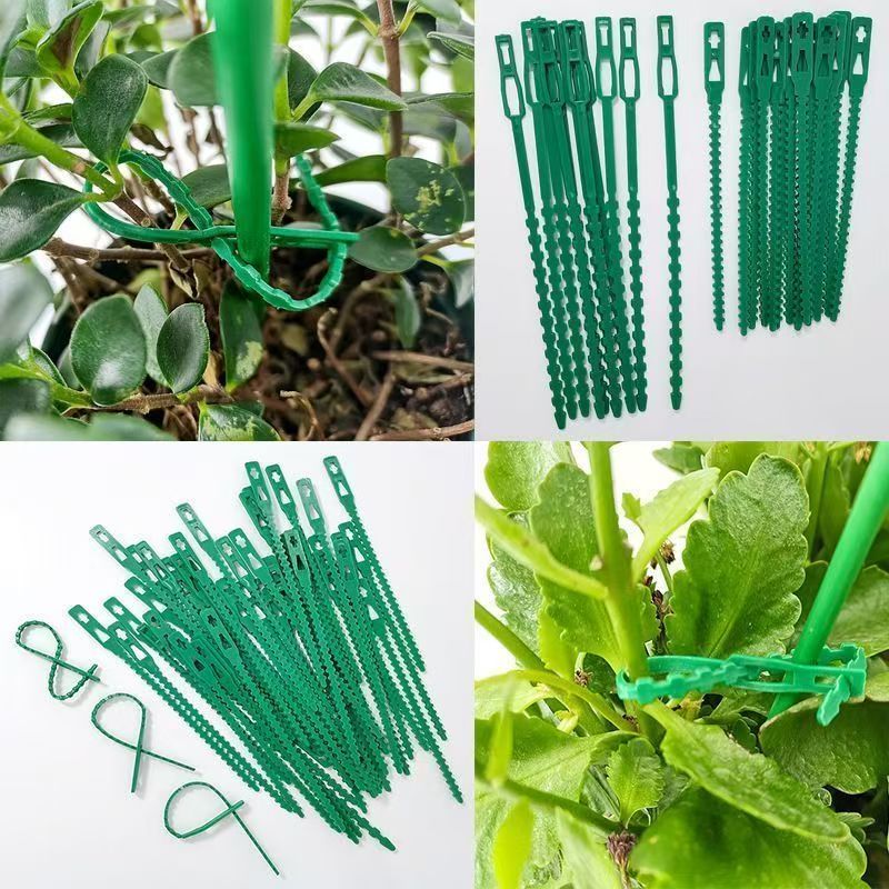 Zielone wielokrotnego użytku o – Vine Climbing Plastic recenzja i cena